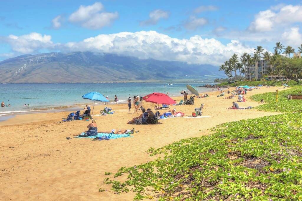 A beach with people sunbathing and swimming, umbrellas, and a mountain in the background.