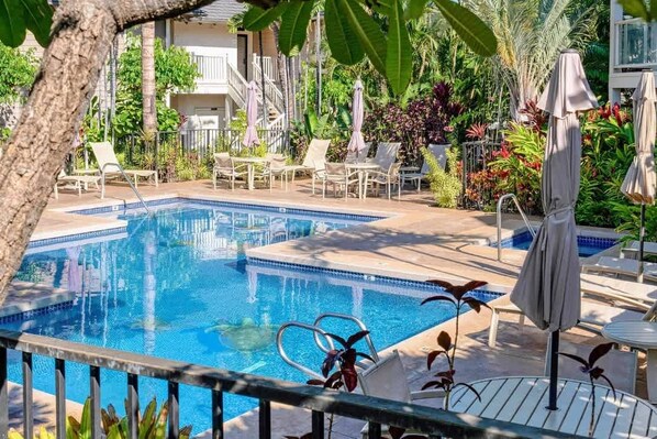 Piscina com espreguiçadeiras e guarda-sóis, cercada por vegetação exuberante e um edifício ao fundo.