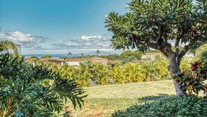 Un paysage tropical avec un arbre imposant, une zone herbeuse et une vue lointaine sur une côte.