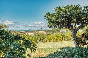 Property grounds - Unwind in a Wailea Oceanview Home with Private Lanai & Pool (Wailea)