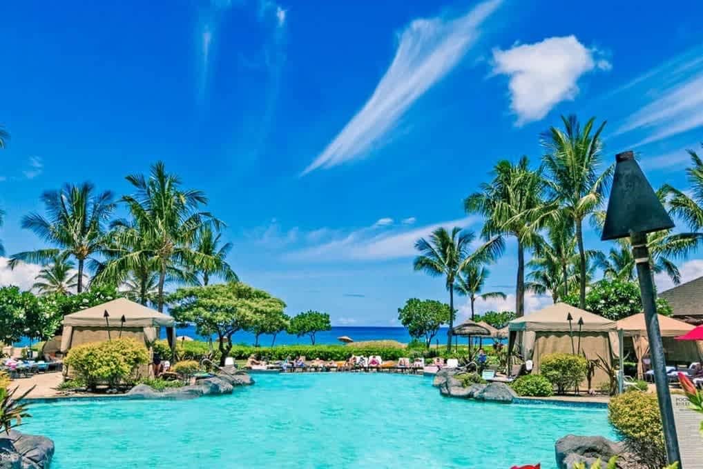 A resort pool area with clear blue water, palm trees, and a view of the ocean.