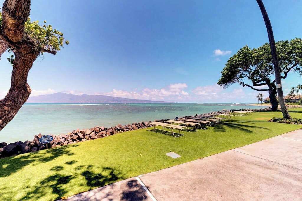 Vista costera con un área verde, un sendero de concreto y una terraza de madera con vista al mar.