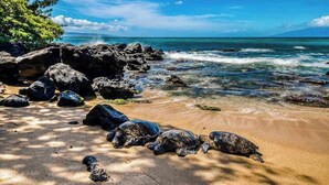 Una playa con rocas, agua cristalina y una montaña a lo lejos.