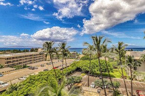 Exterior - Kihei Studio with Shared Grill & W/D - Snorkel, Surf & Swim (Kihei)