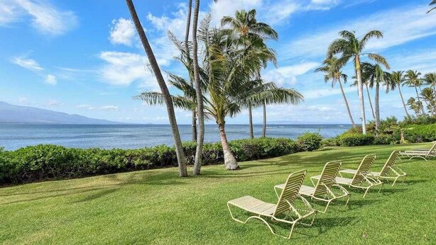 A grassy area with palm trees and a view of the ocean. - *NEW* Oceanfront Ma'alaea Hideaway Near Harbor Adventures (Wailuku)