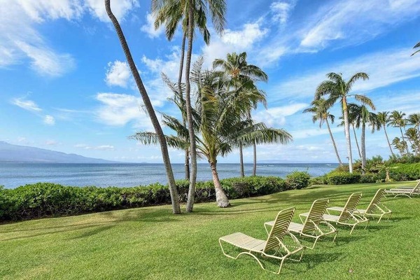 Lounge on the chairs as you hear the wavers crashing and the palm trees swaying.