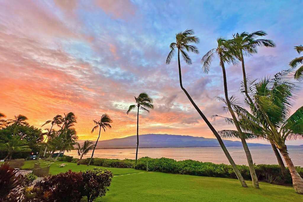 Un paisaje tropical con palmeras, una zona verde y vistas al océano al atardecer.