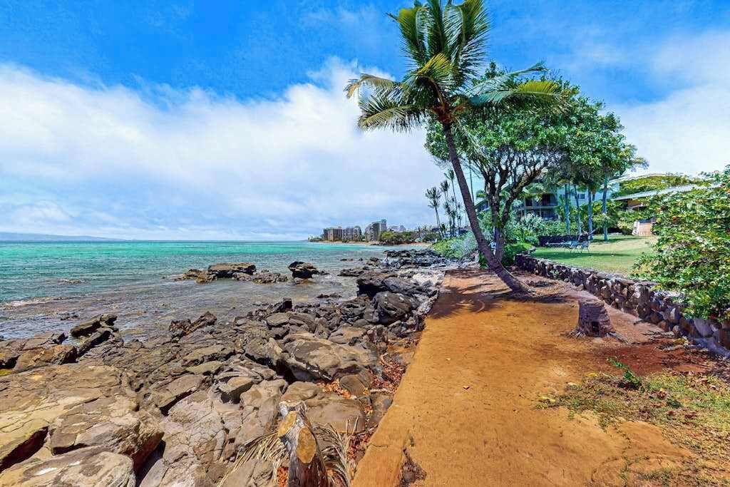 Um caminho costeiro com rochas, uma palmeira e vista para o oceano e edifícios ao longe.