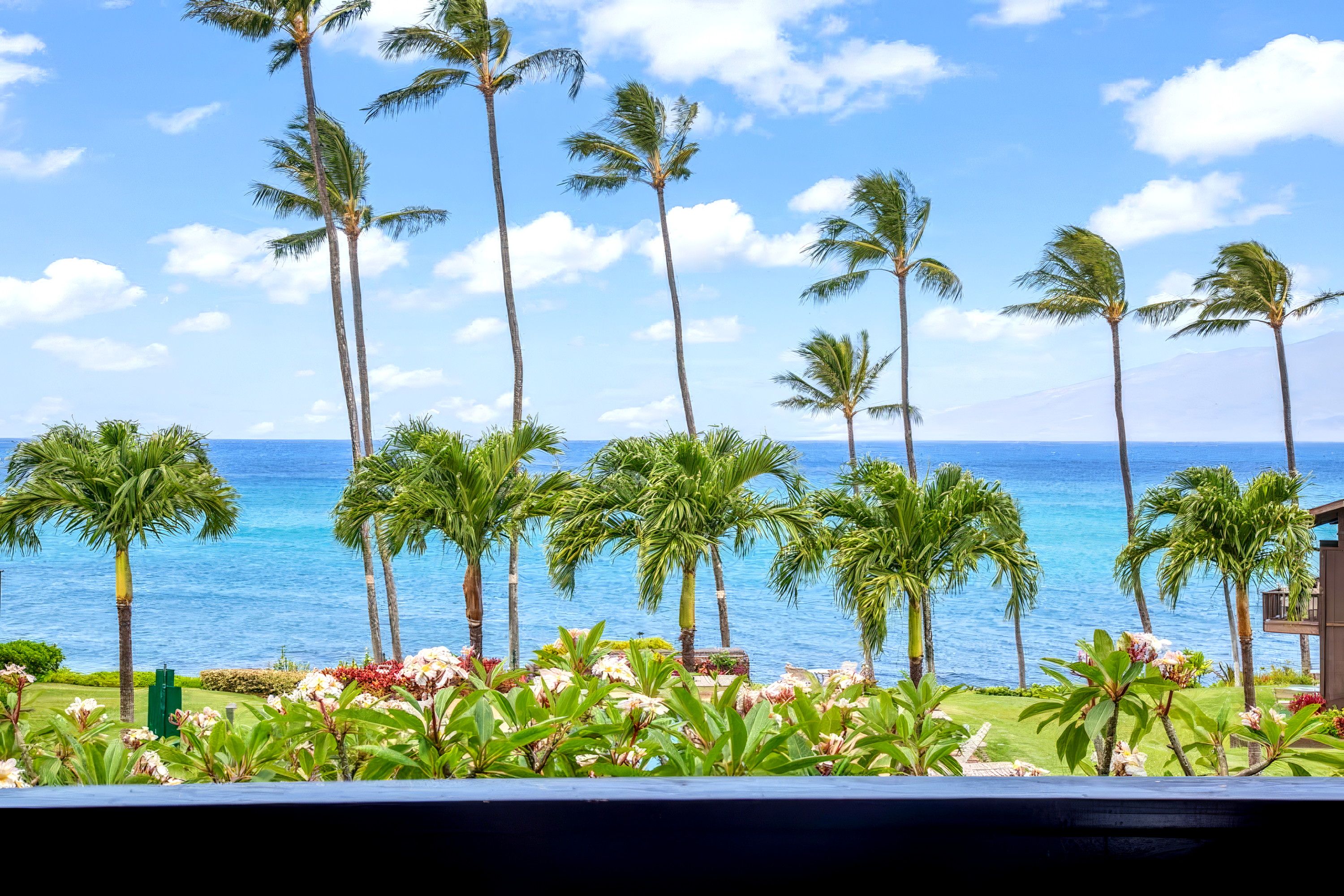 A tropical resort with palm trees and a view of the ocean.