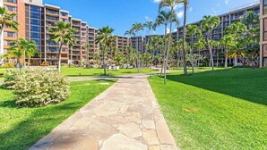 Um pátio de hotel com um caminho de pedra, palmeiras e edifícios altos.