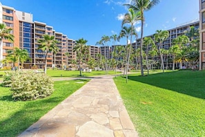 Property grounds - Oceanfront Lahaina Views with Direct Beach Access (Lahaina)