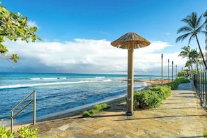 On the beach - Oceanfront Lahaina Views with Direct Beach Access (Lahaina)