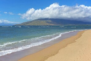 On the beach - Oceanfront Kihei Oasis with Beach Access, Pool & Balcony (Kihei)