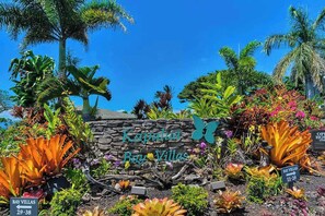 Property grounds - Stunning Kapalua Condo with Ocean Views, Private Lanai & Grill (Lahaina)