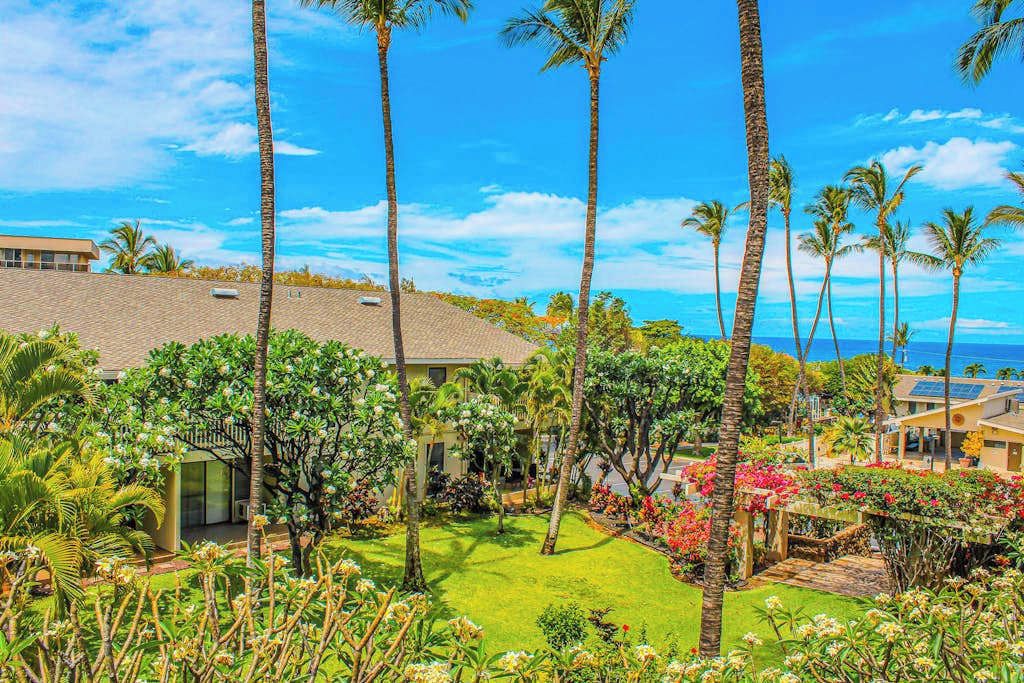 A residential area with a house, palm trees, and a view of the ocean.