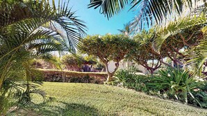 A well-maintained garden with various tropical plants and a neatly trimmed lawn. - NEW Fall Sale Garden-View Kihei 1BR with Pools and Tennis (Kihei)