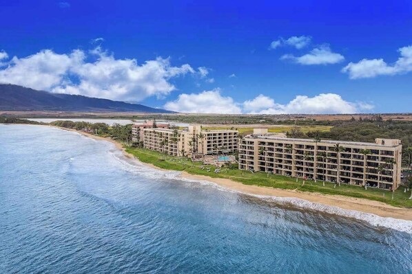 On the beach - Kihei Sugar Beach Condo with Private W/D & WiFi - Surf & Swim (Kihei)