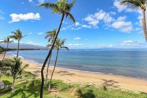 On the beach - Ocean-View Kihei Sugar Beach Condo with Private W/D for 2 (Kihei)