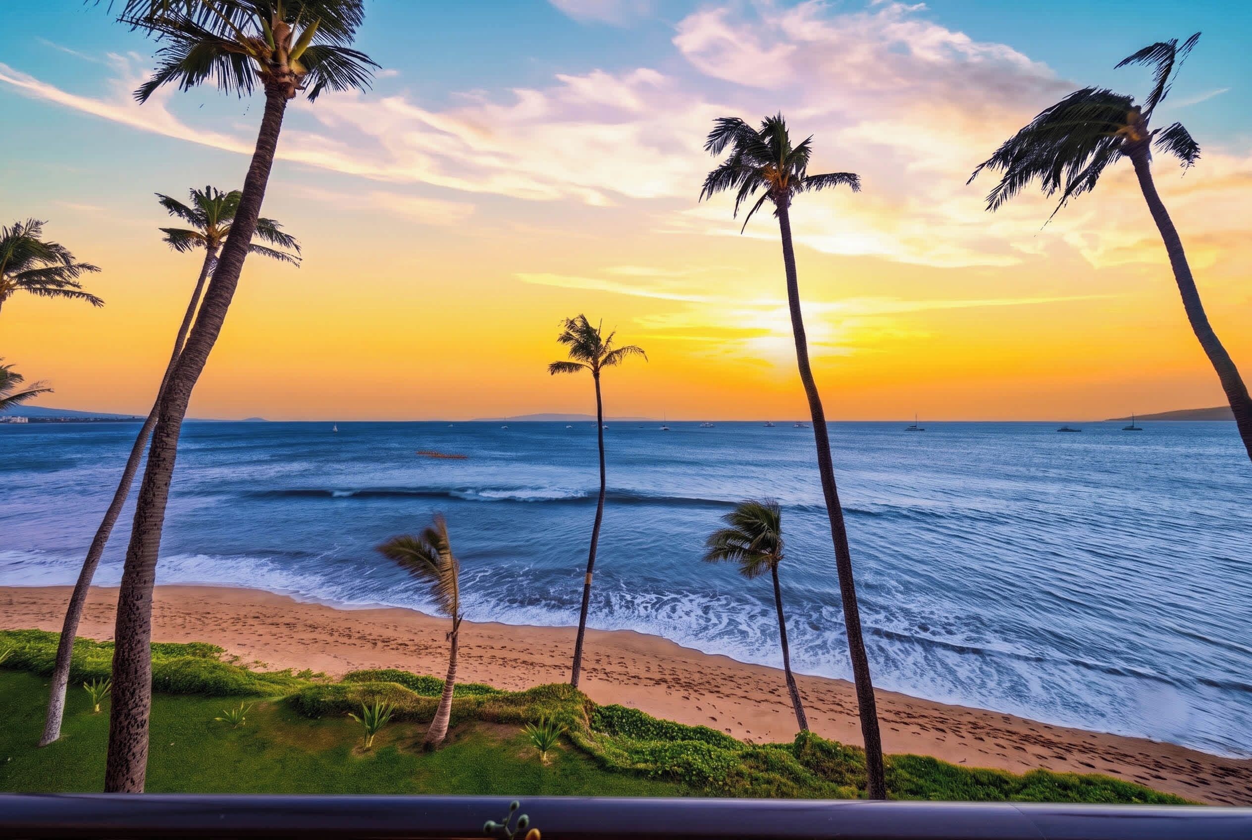 Una playa con palmeras y el océano al atardecer.