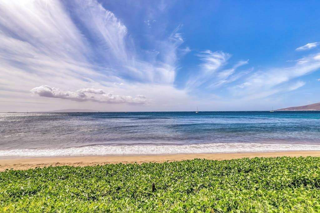 Una spiaggia con cielo sereno e mare cristallino.