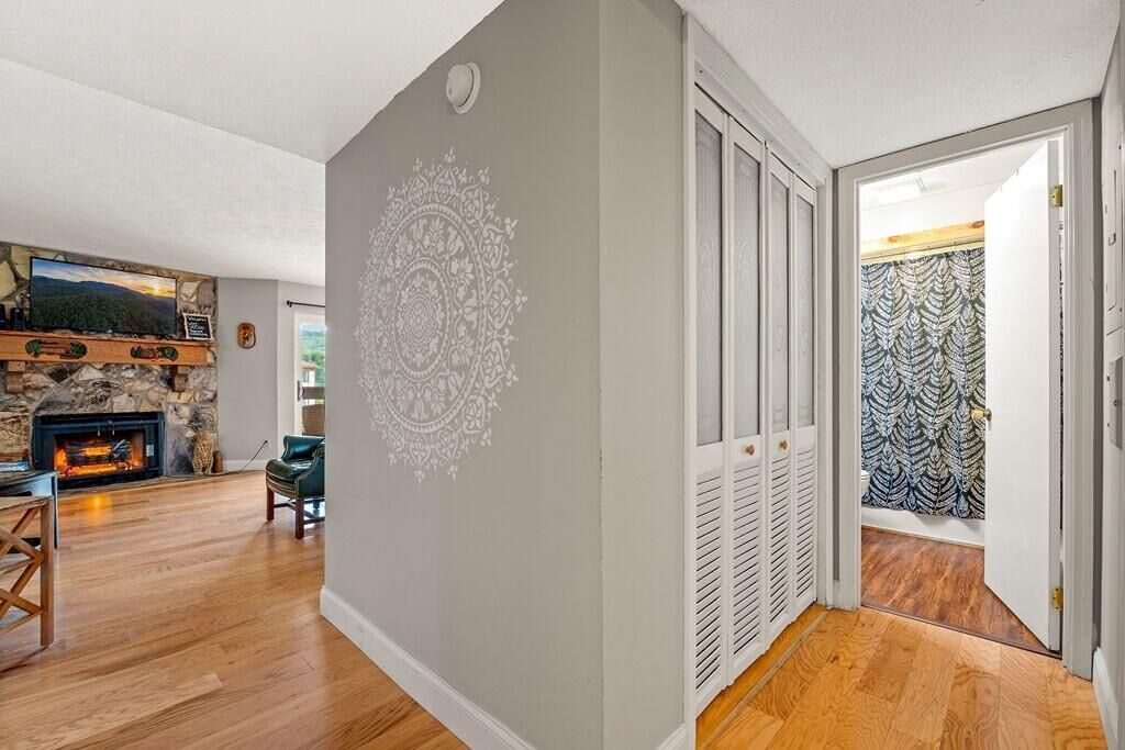 A room with a fireplace, a patterned wall, and a door with patterned curtains.