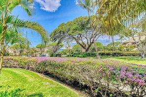 Property grounds - Relaxing Kihei Condo with Outdoor Pool, Hot Tub & Fast WiFi (Kihei)