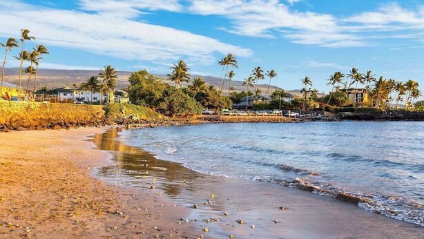 A beach with palm trees, a rocky shoreline, and buildings in the background. - *NEW* Fall $ale Ocean-View Kihei Escape Steps from The Cove (Kihei)