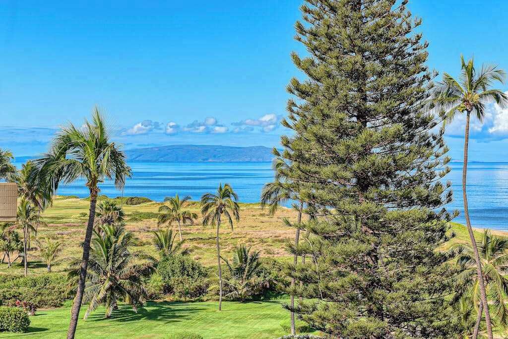 A coastal landscape with a golf course, palm trees, and a view of the ocean.