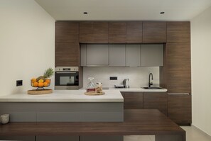 A modern kitchen with a built-in oven, a coffee maker, and a sink. - Villa Casa Luta (Istria - Tinjan) (Tinjan)