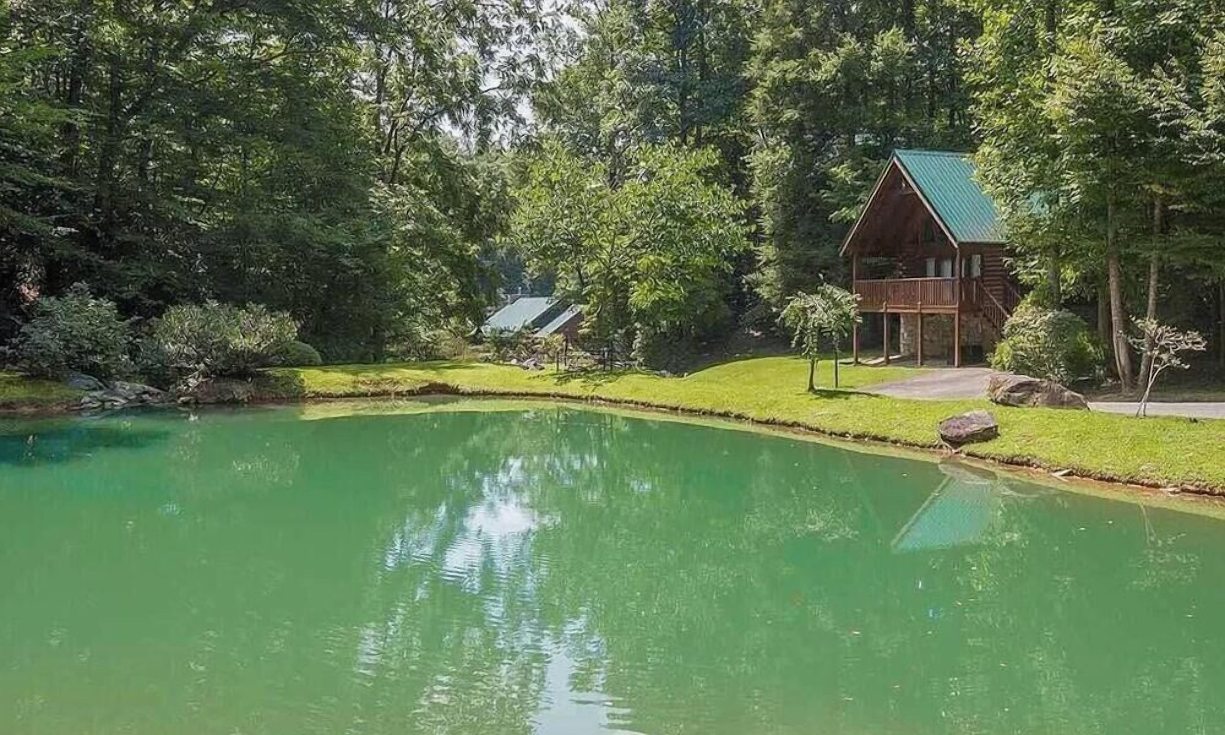 A wooden cabin with a green roof, surrounded by lush greenery and a calm pond.