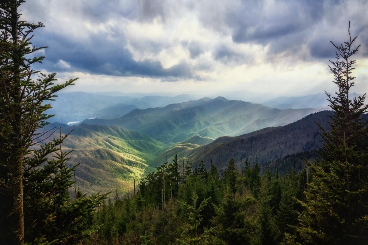 A mountainous landscape with dense forest and a valley.