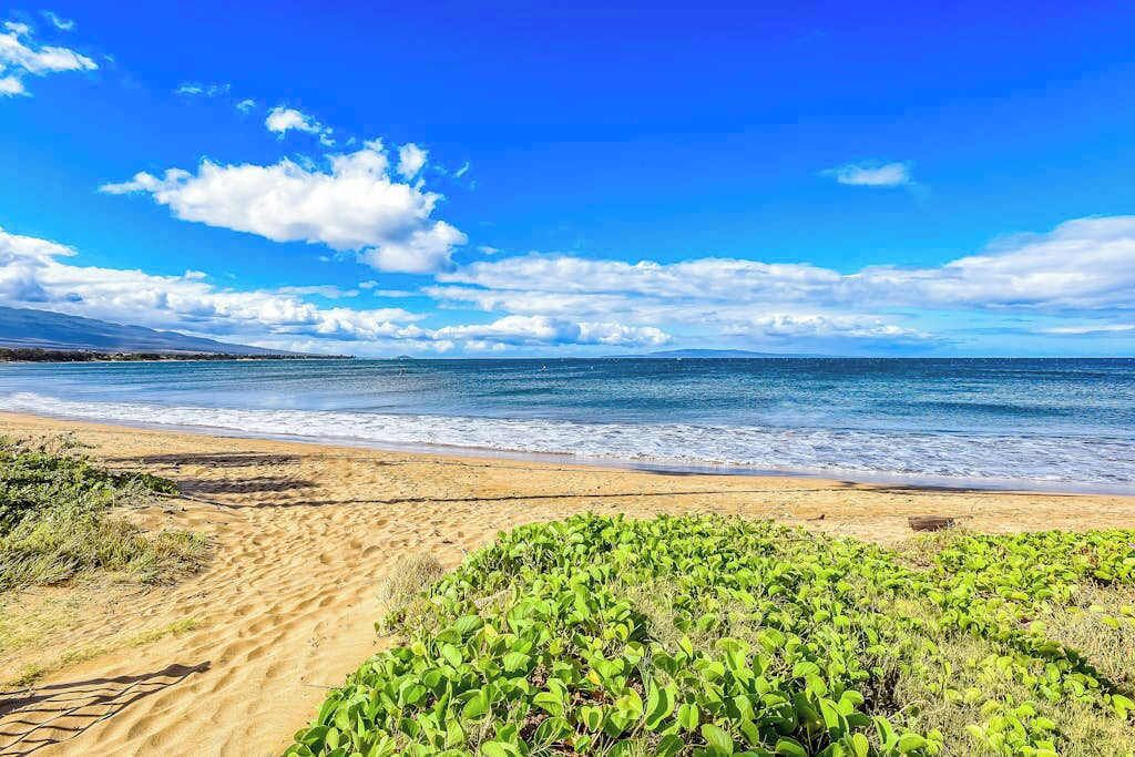 Une plage de sable, avec une végétation verdoyante et un ciel bleu clair.