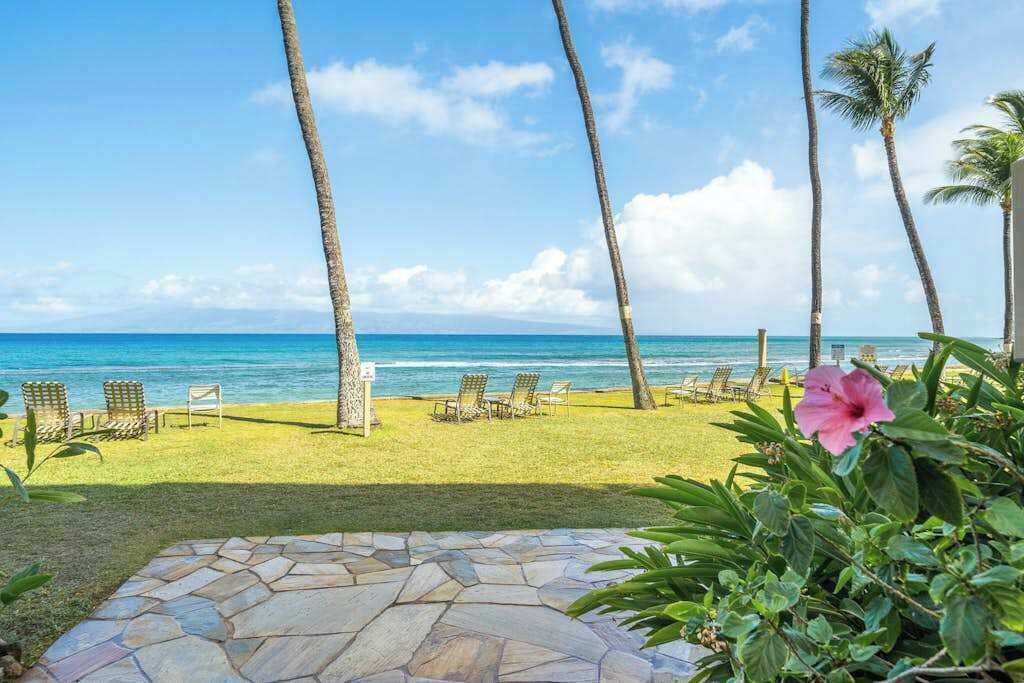 Vista de una playa con palmeras, sillas de descanso y un camino de piedra.