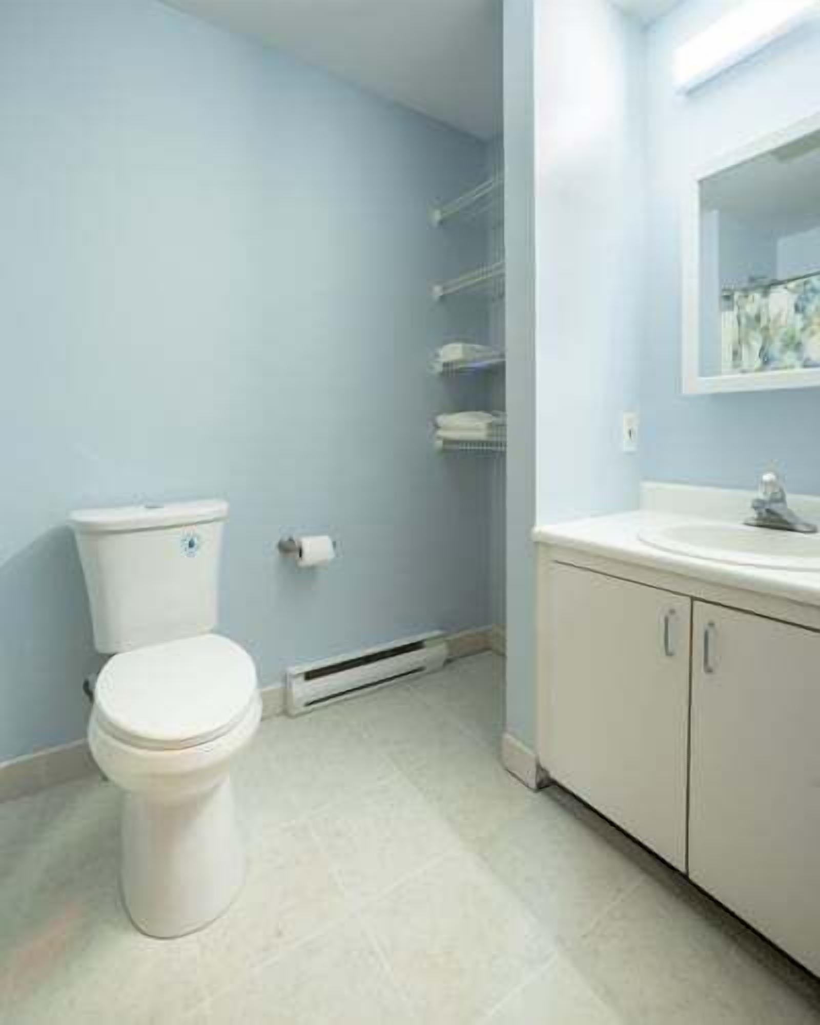 Une salle de bain avec des toilettes, un lavabo et un miroir.