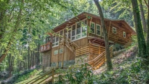 Eine Holzhütte mit einer Treppe, die zu einer Terrasse führt, umgeben von dichtem Wald.