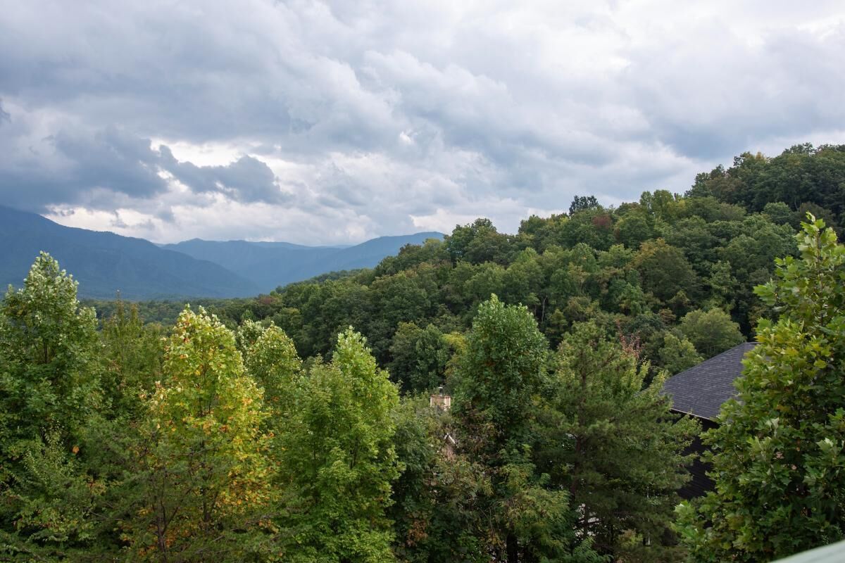Eine bewaldete Landschaft, in der ein Haus teilweise von Bäumen verdeckt ist.
