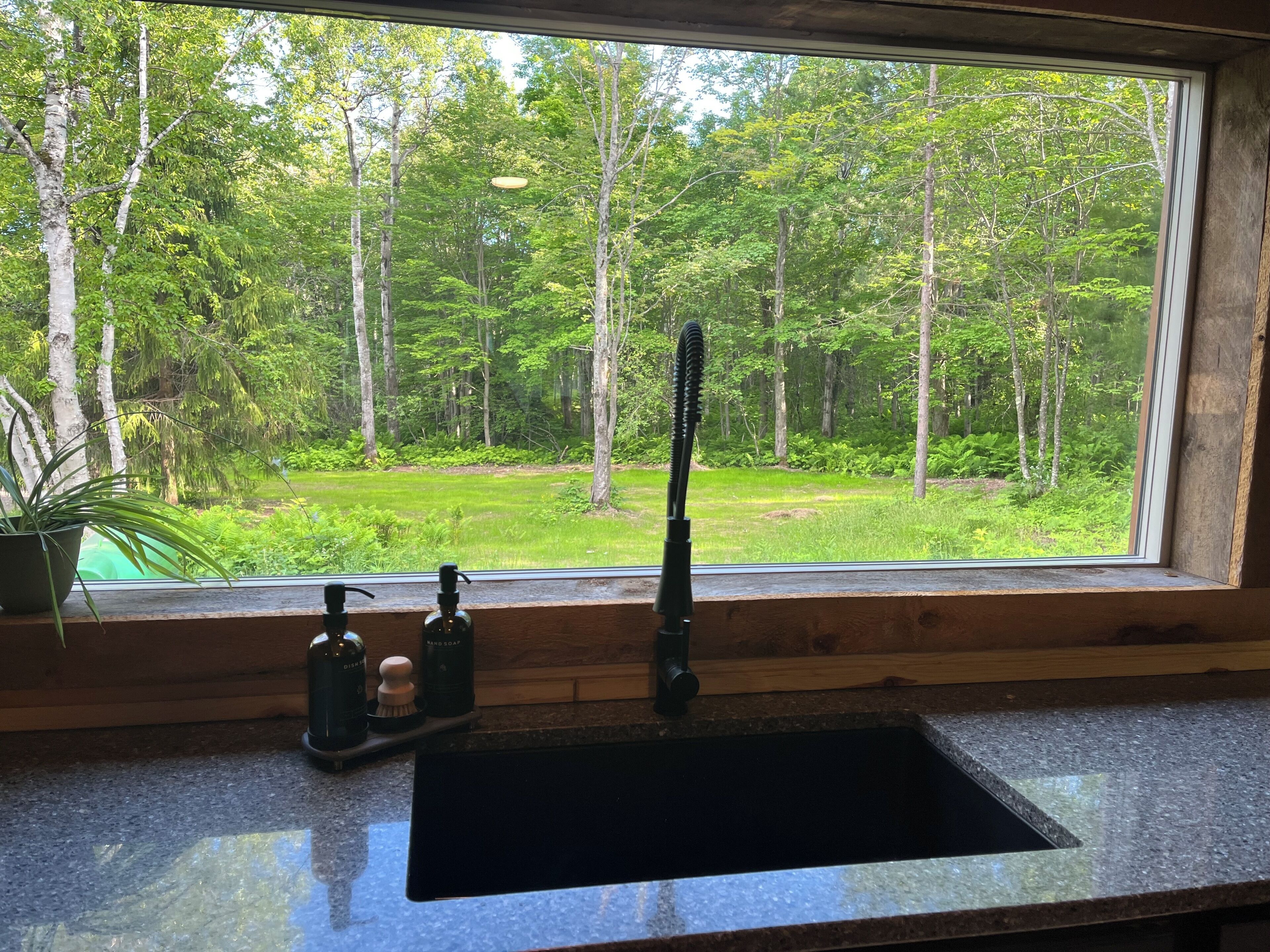 Ett kök med ett fönster som vetter mot en skog, en diskho och flaskor med flytande tvål.