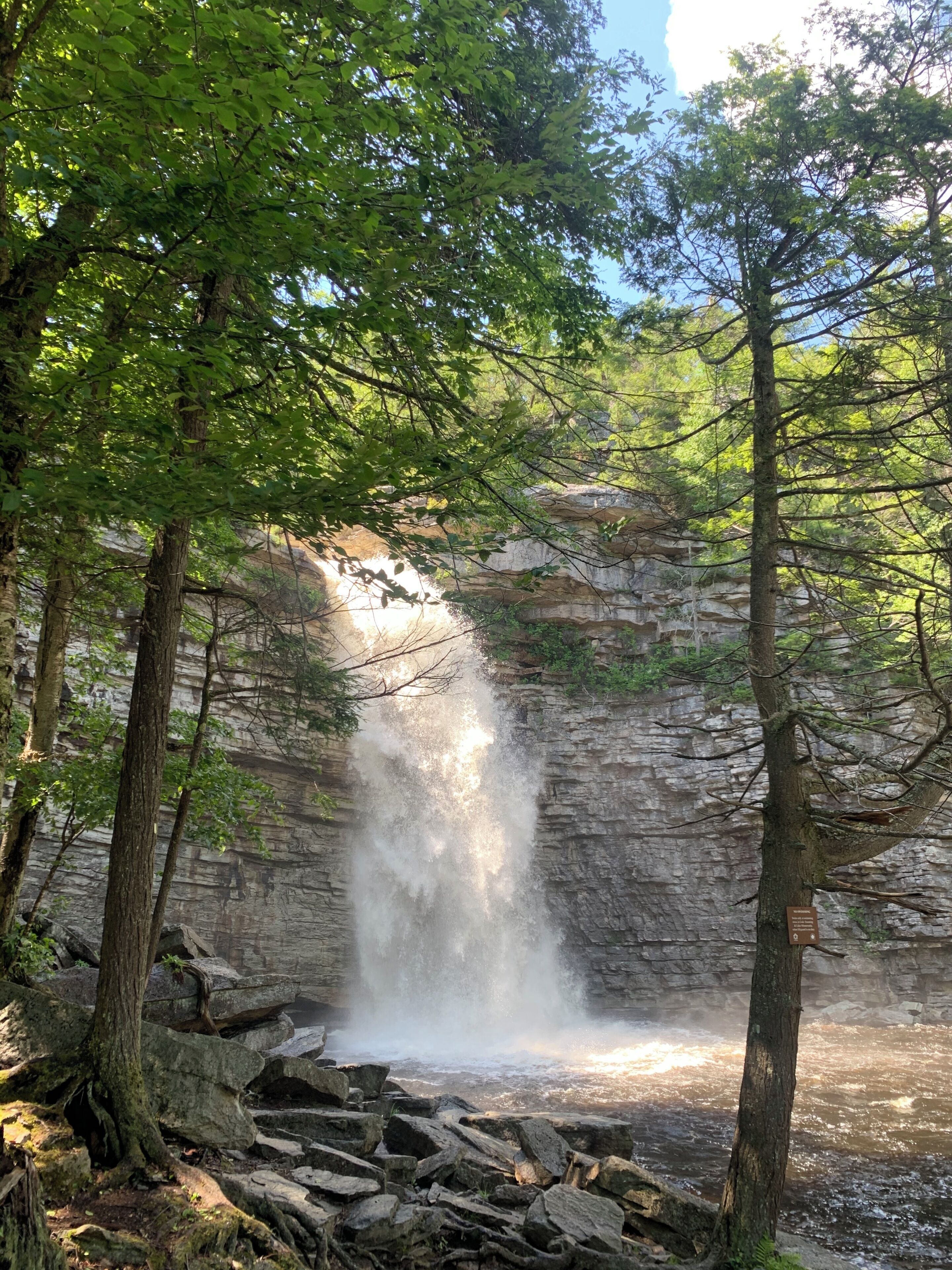 A waterfall cascading down a rocky cliff surrounded by trees.