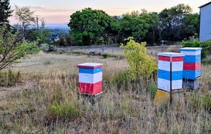 A rural landscape with beehives and a distant view of a town.