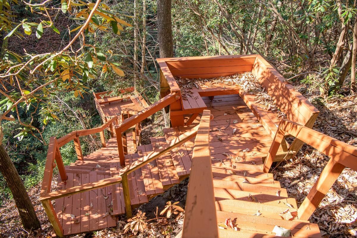 Eine Holztreppe führt zu einer Bank in einem bewaldeten Gebiet.