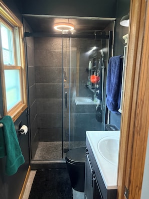 Hair dryer, towels, soap, toilet paper