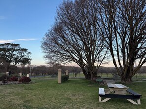 Un parque con una mesa de picnic, un árbol grande sin hojas y una zona verde.