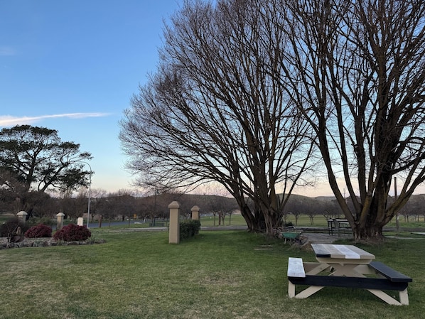 A park with a picnic table, a large leafless tree, and a grassy area. - Southern Skies Motel (Blayney)