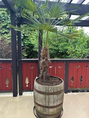 Una planta en maceta con base de barril de madera, estructura de pérgola de madera y una cerca roja con adornos recortados.