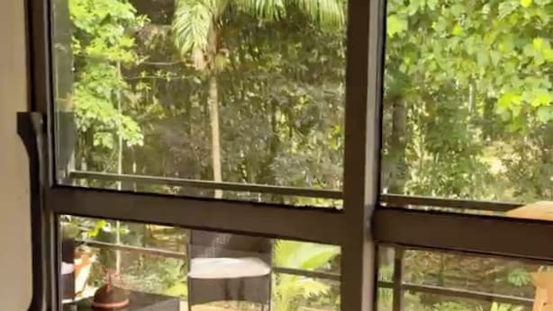 A room with large windows, a wooden deck, and a view of greenery outside.