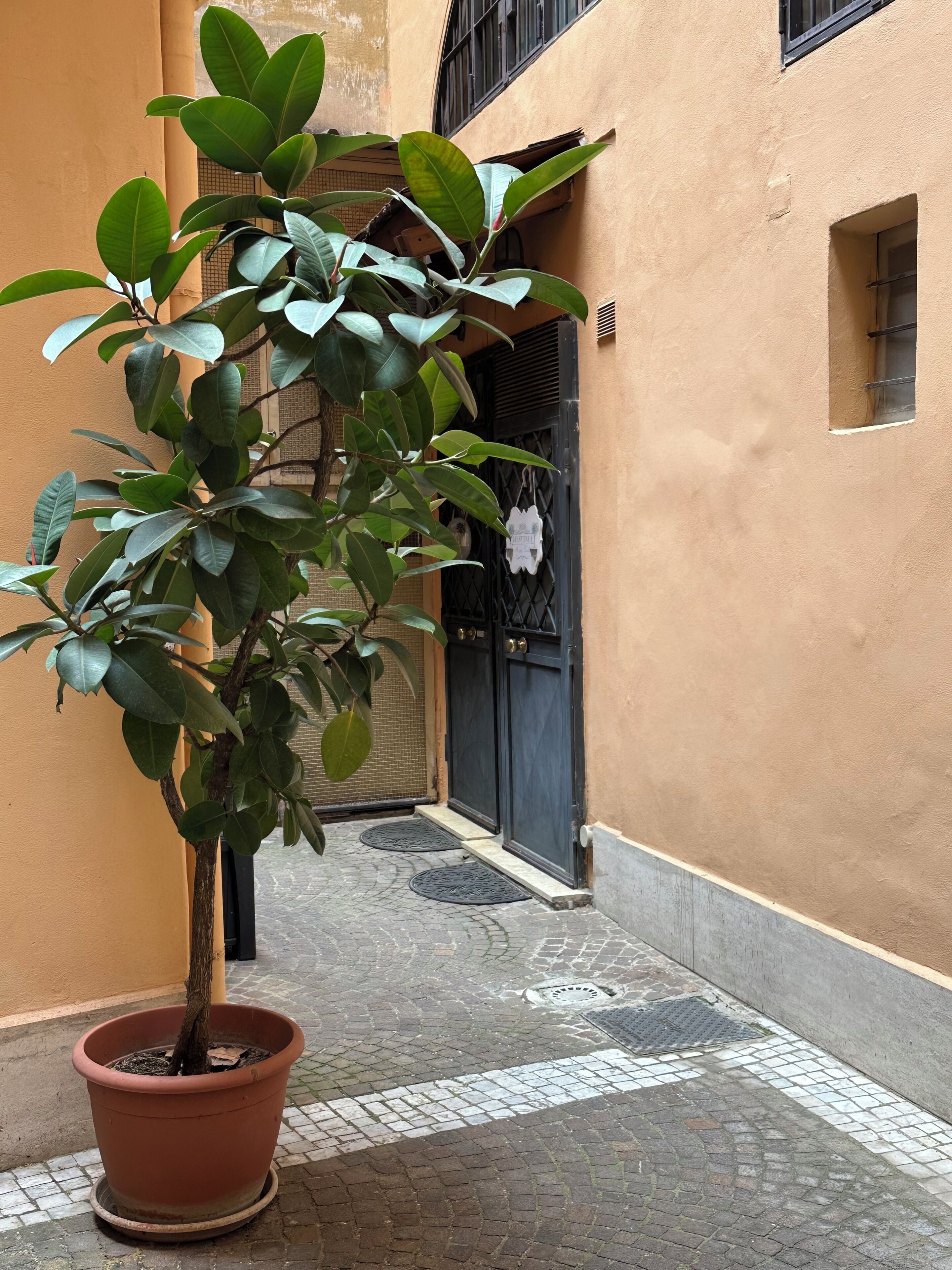 Exterior detail