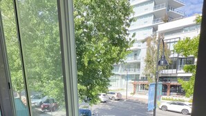 A view through a window of a parking lot with several cars, a building with multiple floors, and a tree. - Entire condo in White Rock, Canada (White Rock)
