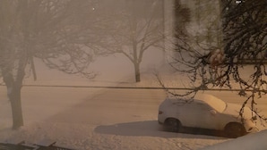A snow-covered street with a parked car and bare trees. - Park view home (Vancouver)