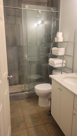 Une salle de bain avec une douche à parois de verre, des toilettes et un porte-serviettes en métal sur lequel sont pliées des serviettes.
