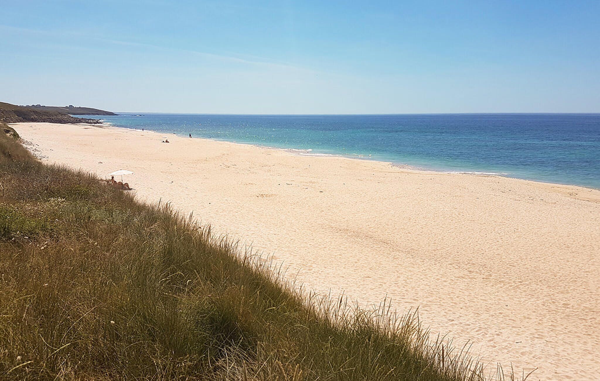 Une plage avec un ciel dégagé, un rivage sablonneux et une végétation clairsemée.